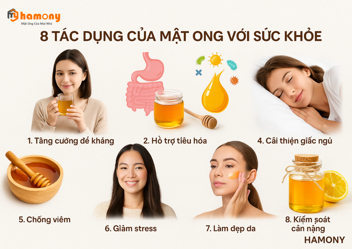 8 tác dụng của mật ong đối với sức khỏe từ thương hiệu HAMONY