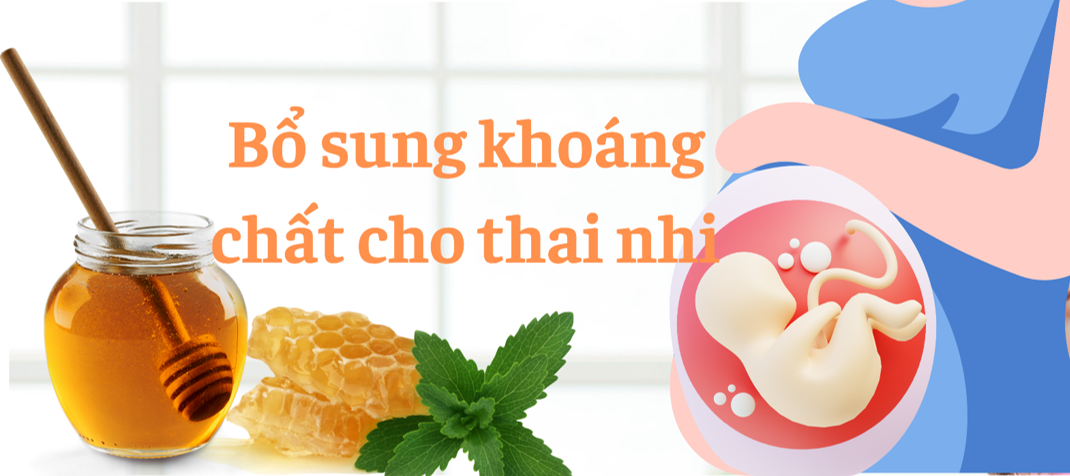 Bổ sung khoáng chất cho thai nhi