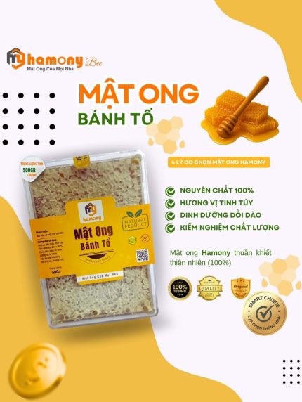 Mật Ong Bánh Tổ Nguyên Chất Hamony (500gr+) – Tổ Ong Nguyên Khối Tự Nhiên 100% | Ăn Liền, Bổ Dưỡng