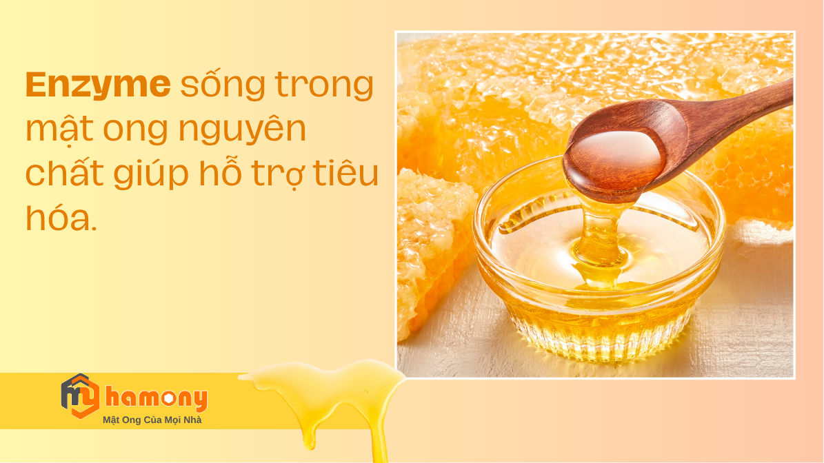 Enzyme sống trong mật ong