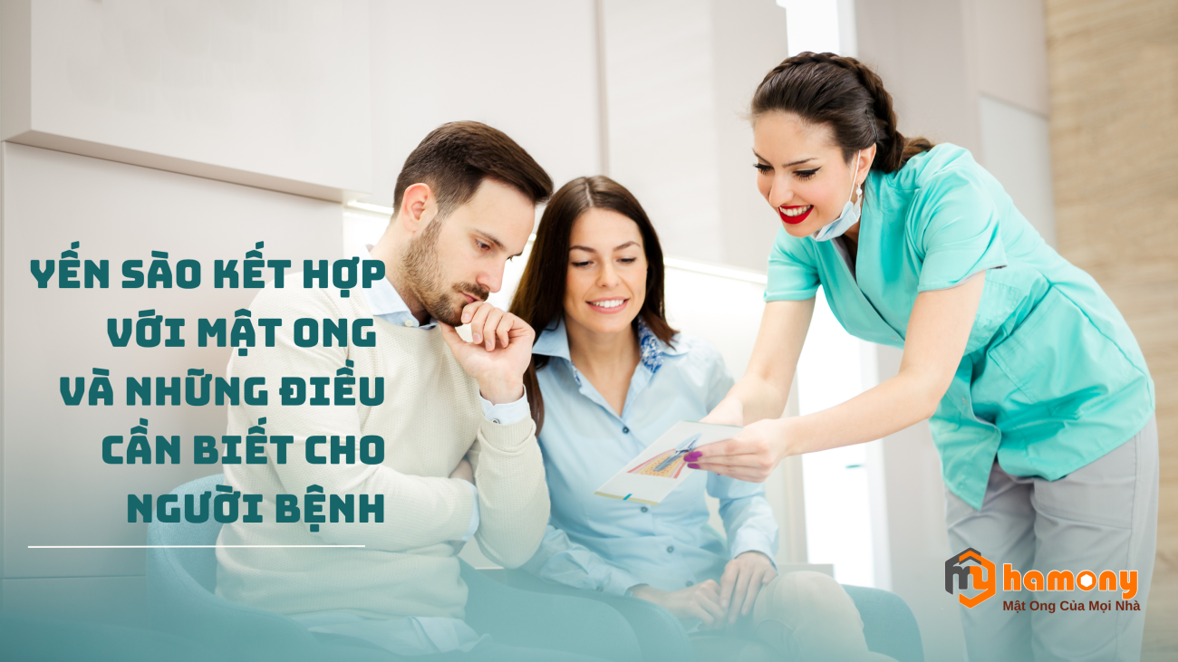 Kết hợp yến sào với mật ong – giải pháp bổ trợ an toàn cho người bệnh