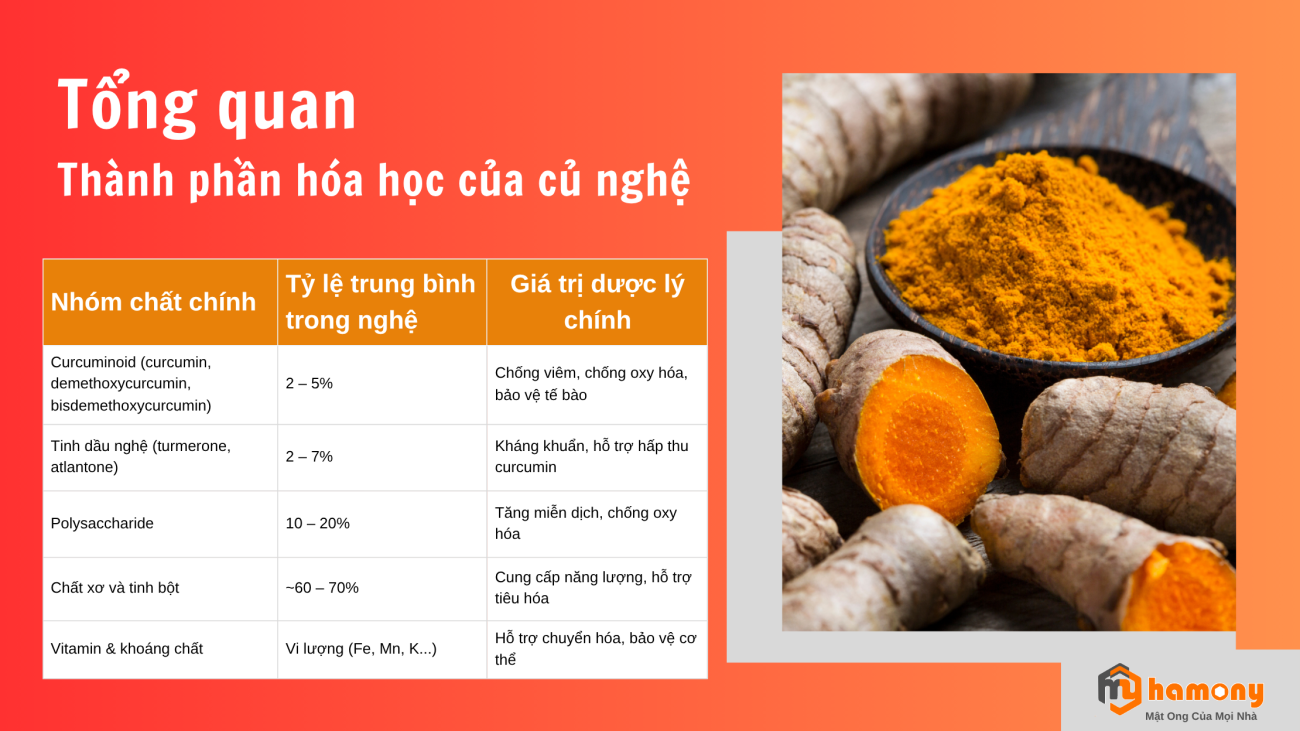 2. Thành phần chính và hàm lượng trong củ nghệ