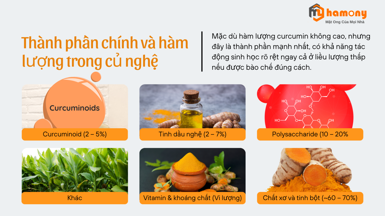 Các thành phần chính trong nghệ
