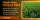 Curcumin – hoạt chất quan trọng nhất trong củ nghệ