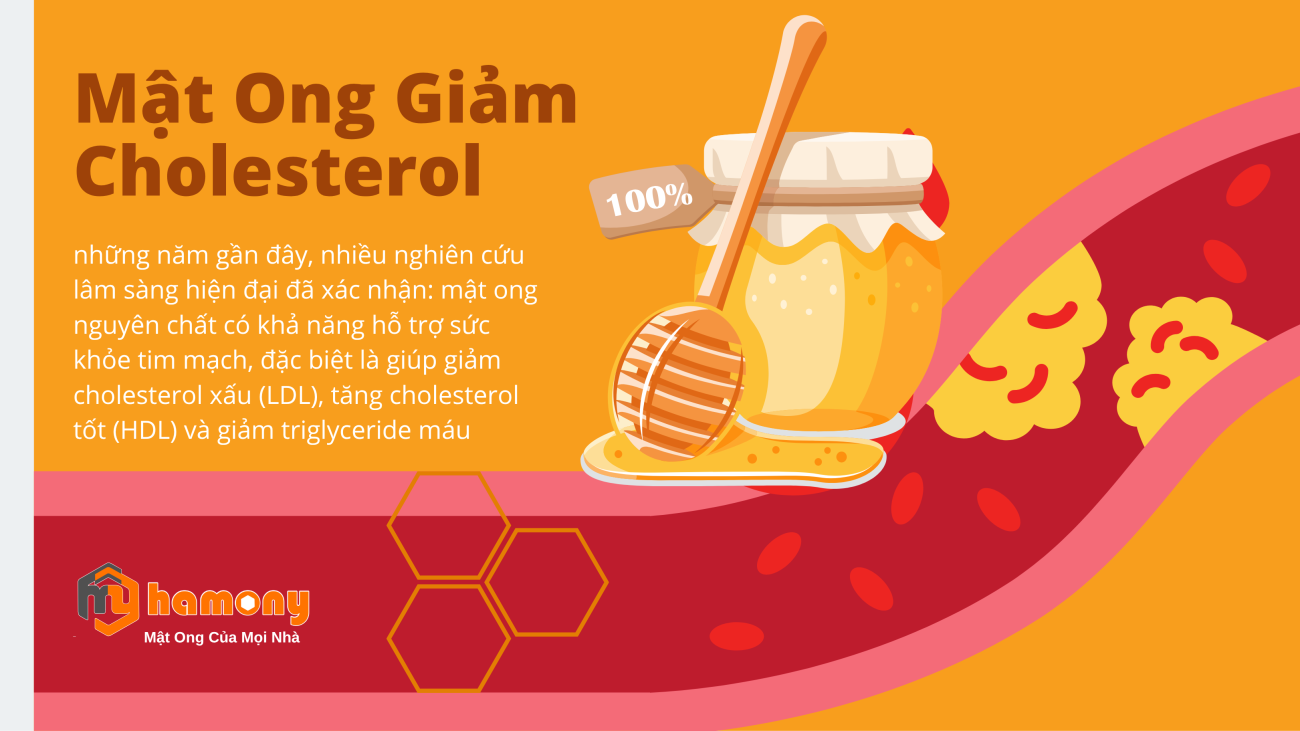 Mật Ong Giảm Cholesterol