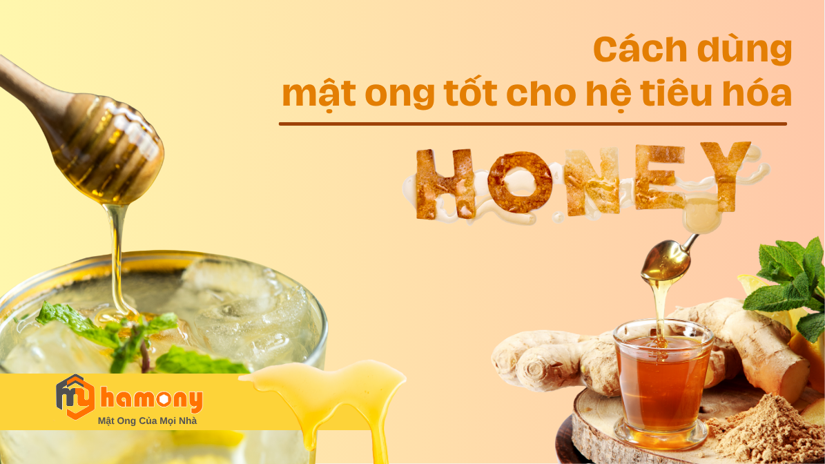 Cách dùng mật ong tốt cho hệ tiêu hóa